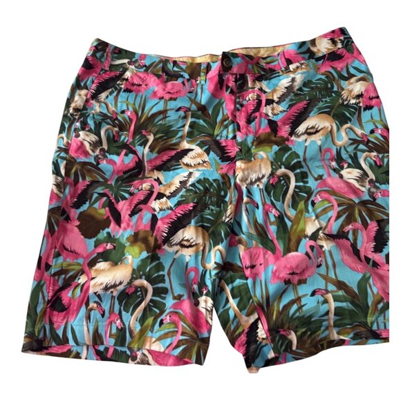 Loudmouth Pink Flamingo Tropical Print Mens Shorts - Picture 1 of 7